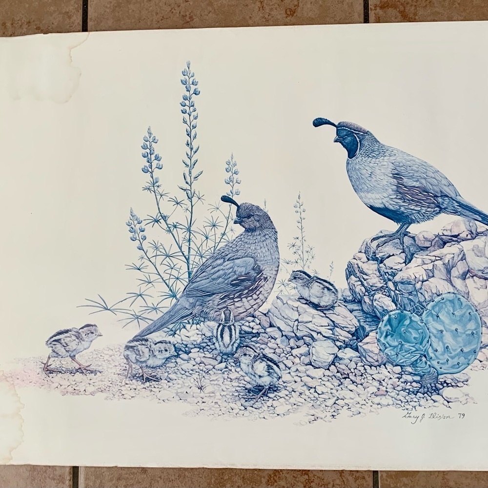 Vintage Quail Print By Artist Gary J. Dixon 1979